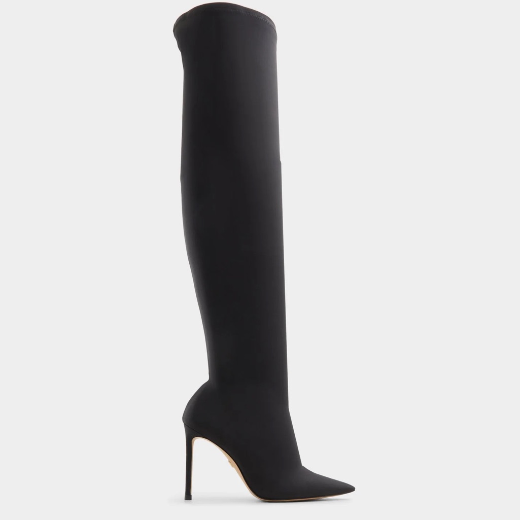 New In Box Aldo Boots